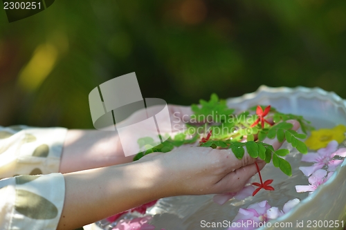 Image of female hand and flower in water