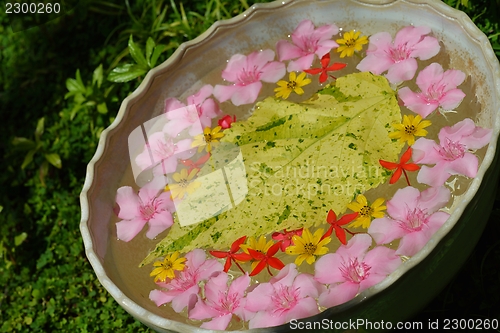 Image of water cup with beautiful flowers background