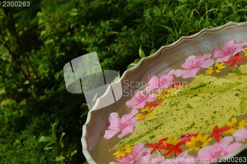Image of water cup with beautiful flowers background