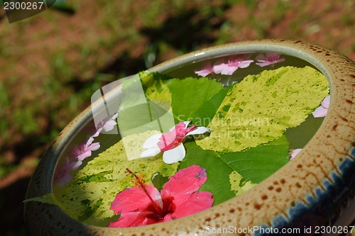 Image of water cup with beautiful flowers background