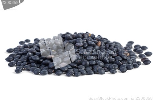 Image of Small pile of black Beluga Lentils