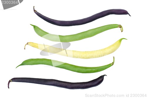 Image of Purple, green and yellow Wax Snap Beans