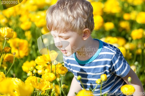 Image of boy at flower field