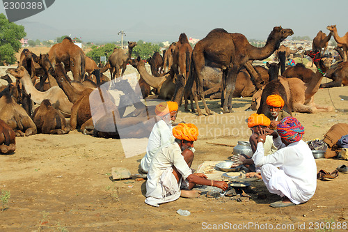 Image of Pushkar Camel Fair - sellers of camels during festival