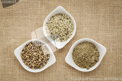 Image of seeds, hearts and hemp protein