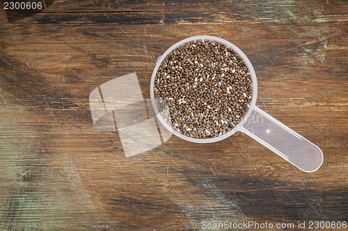 Image of measuring scoop of chia seeds