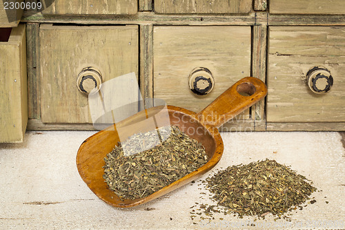 Image of peppermint herbal tea