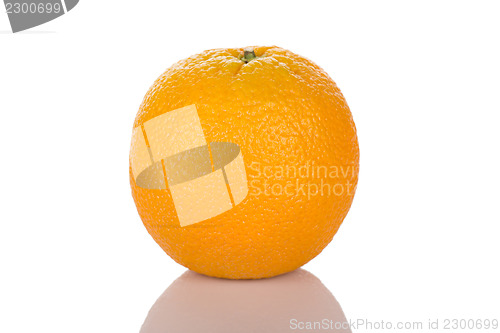 Image of Orange