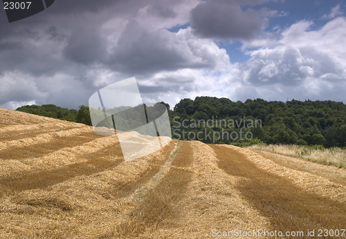 Image of Harvest Time