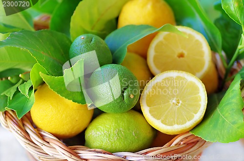 Image of Slices of ripe lemons on basket