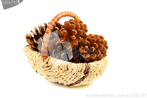 Image of Pine cones in a basket.