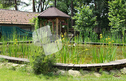 Image of House garden with small pond