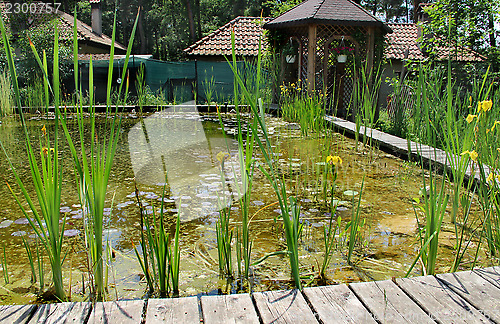 Image of House garden with small pond