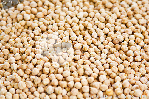 Image of Chickpea 