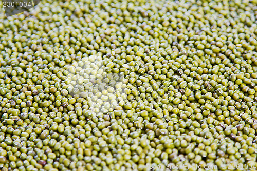 Image of Mung Bean