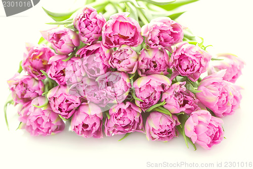 Image of lovely pink
