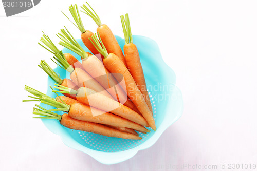 Image of fresh carrots