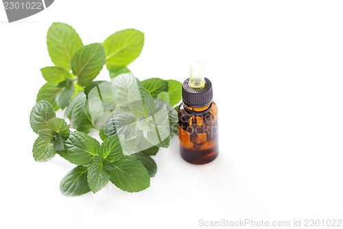 Image of mint essential oil