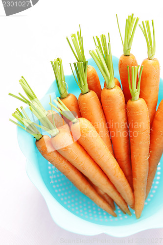 Image of fresh carrots