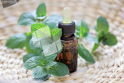 Image of mint essential oil