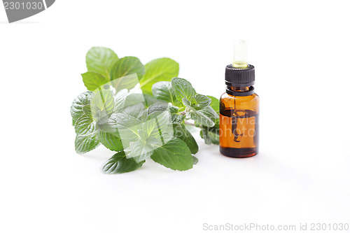 Image of mint essential oil