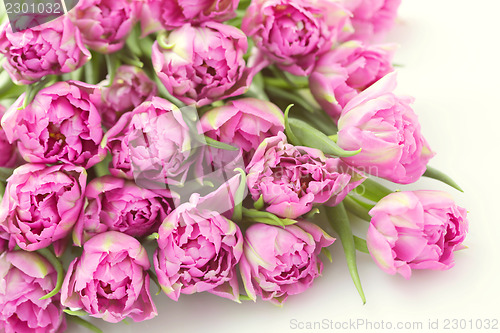 Image of lovely pink