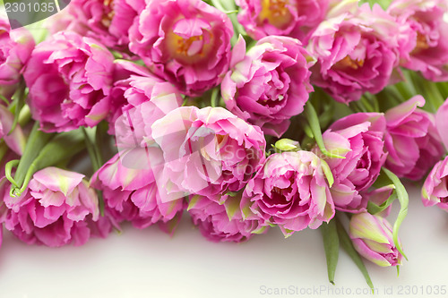 Image of lovely pink