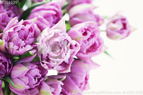 Image of lovely pink