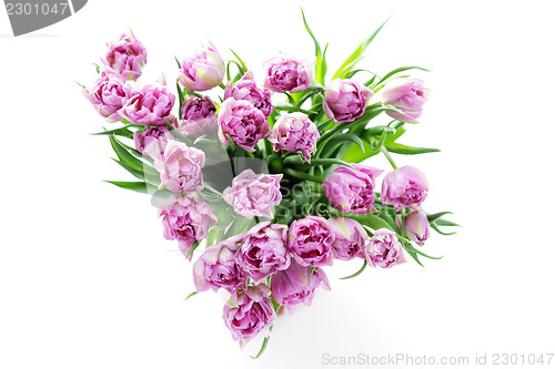 Image of lovely pink