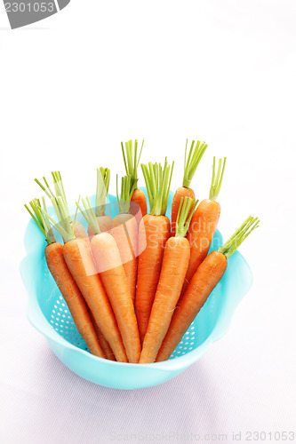 Image of fresh carrots