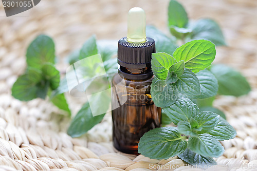Image of mint essential oil
