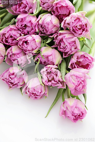Image of lovely pink