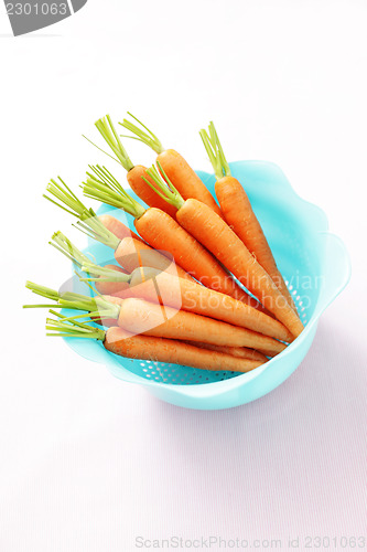 Image of fresh carrots