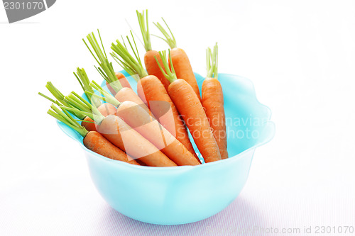 Image of fresh carrots