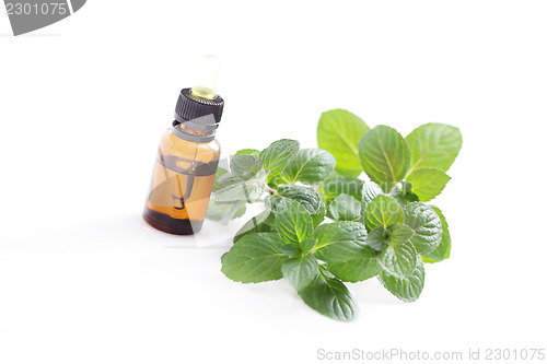 Image of mint essential oil