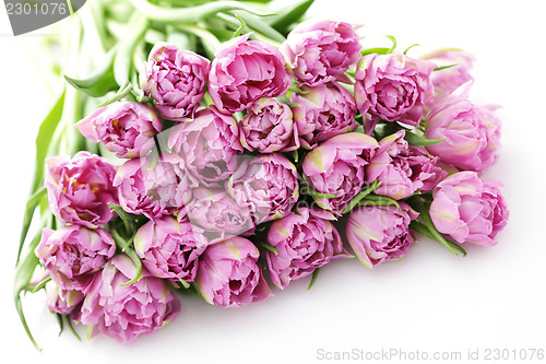 Image of lovely pink