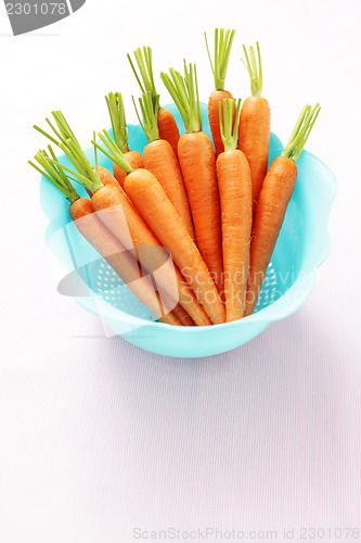 Image of fresh carrots