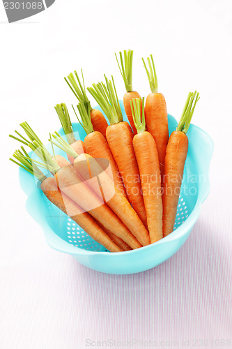 Image of fresh carrots