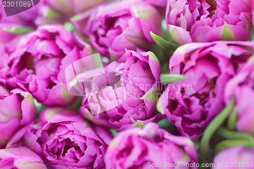 Image of lovely pink