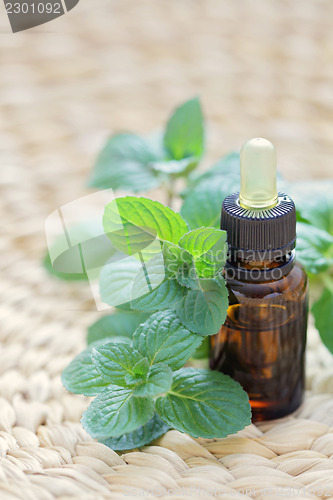 Image of mint essential oil