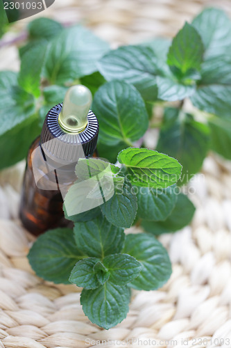 Image of mint essential oil