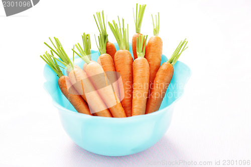 Image of fresh carrots