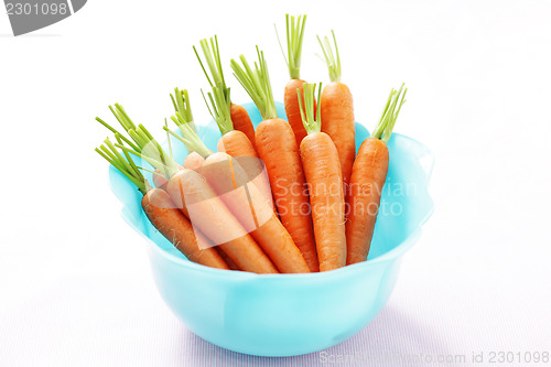 Image of fresh carrots