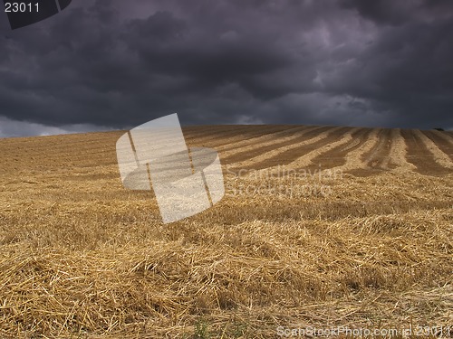 Image of Harvest before the storm