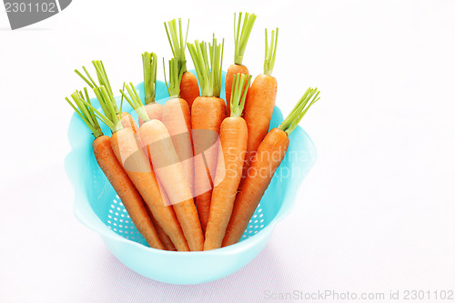 Image of fresh carrots