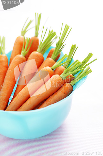 Image of fresh carrots