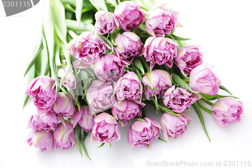 Image of lovely pink