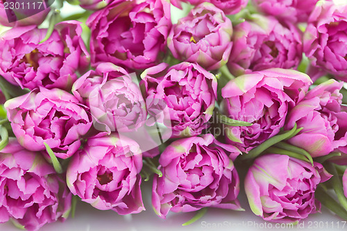 Image of lovely pink