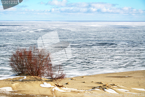 Image of Russia. Coastline in winter on the Kurshskaya kosa