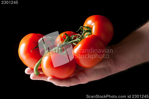 Image of red tomatoes